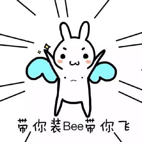 带你吃瓜黑鸡,探寻美食背后的故事