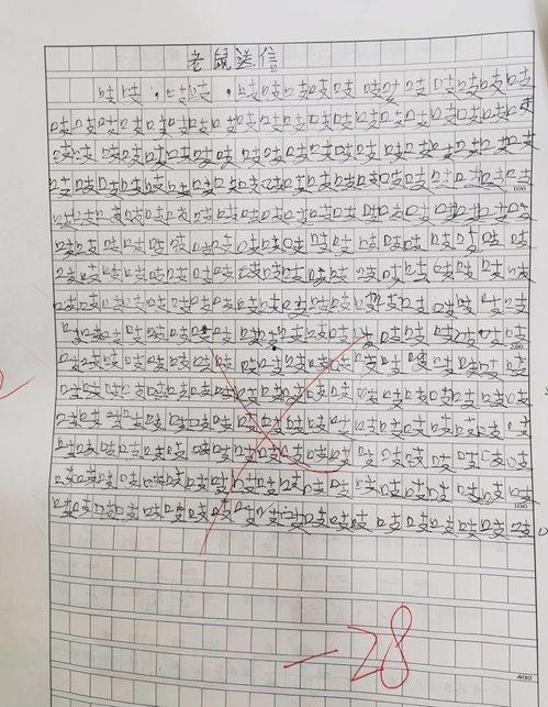 吃瓜大会作文开头,一场舌尖上的文化盛宴