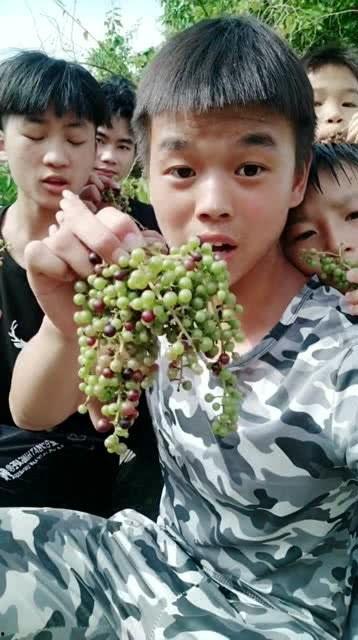 网红吃葡萄瓜,口感与颜值并存，网友直呼过瘾！