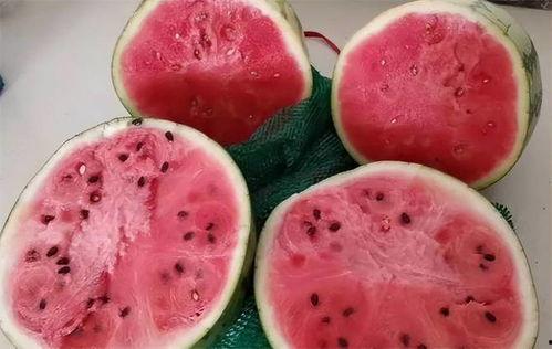 老外吃麒麟瓜,一场味蕾与文化的碰撞之旅