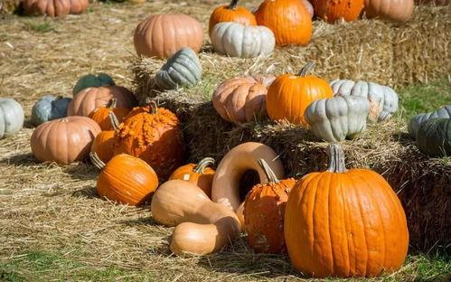 阿民吃瓜,揭秘娱乐圈背后的那些事儿