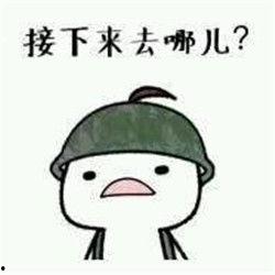 吃鸡吃瓜照片大全,趣味照片大盘点