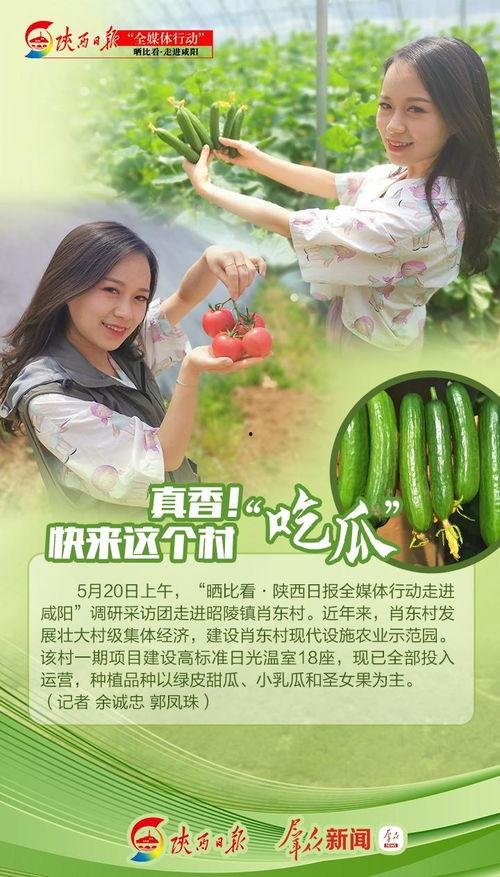 《真香吃瓜》免费阅读,揭秘娱乐圈背后的真实故事