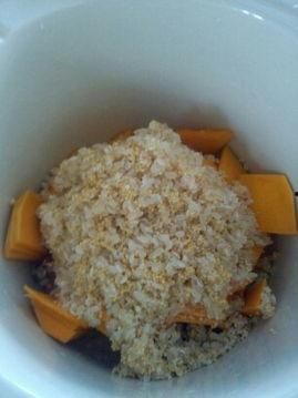 吃瓜的小米宝宝,小米宝宝的趣味食光之旅