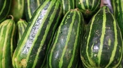 吃楠瓜,传统美味与现代创新的完美融合