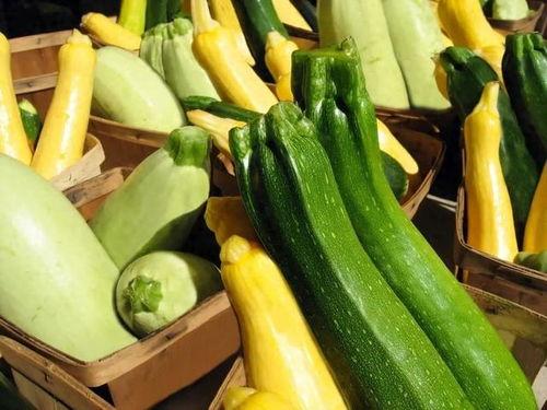 什么瓜吃不停,揭秘“什么瓜吃不停”的趣味之旅