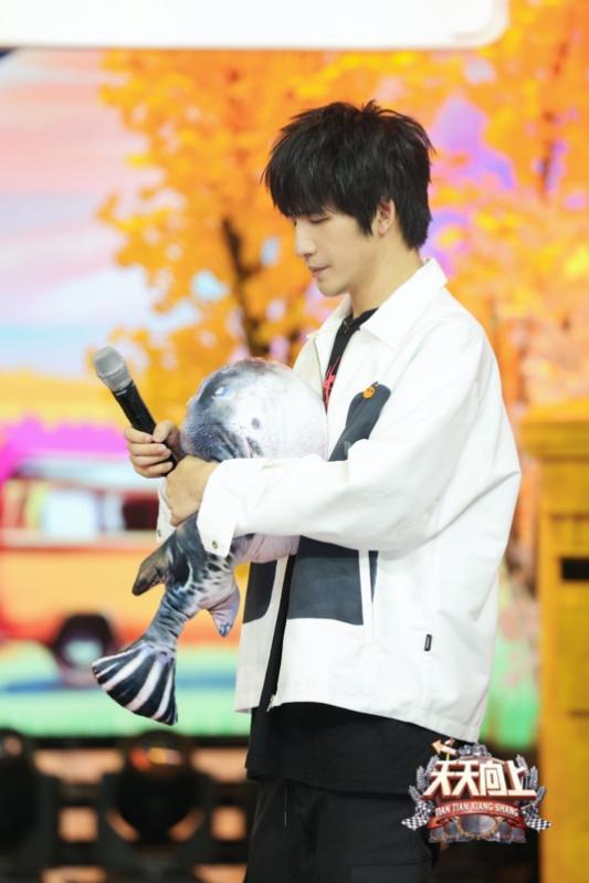 大张伟吃瓜福克斯,揭秘娱乐圈幕后真相