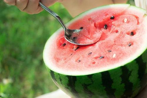 5点有瓜吃,揭秘日常生活中的小确幸
