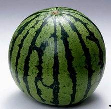 _在线吃瓜图片,在线吃瓜群众的欢乐时光