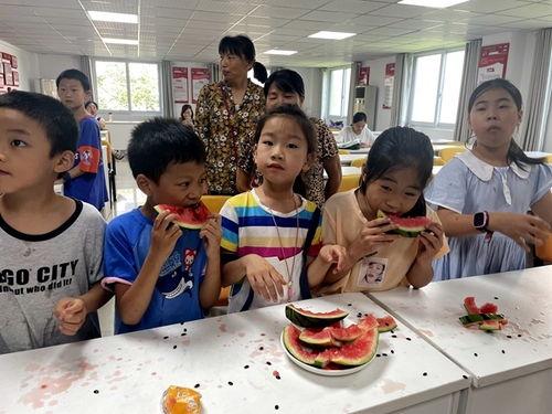 夏日吃瓜活动主题,瓜果飘香——尽享清凉吃瓜盛宴