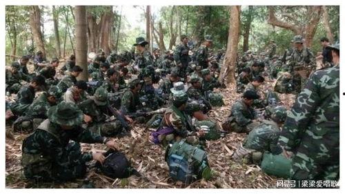 缅北战争云南吃瓜,云南边民“吃瓜”见证历史变迁