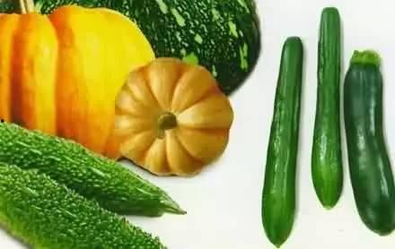 广德有什么瓜吃,探寻当地特色瓜类美食之旅