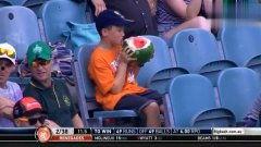 吃瓜小探迷,探寻娱乐圈背后的秘密