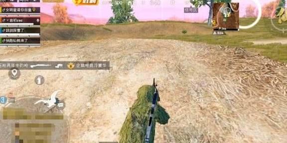 将军山吃瓜ak,揭秘神秘事件背后的真相