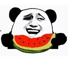 无脑吃瓜网名大全,网名大全带你领略趣味人生