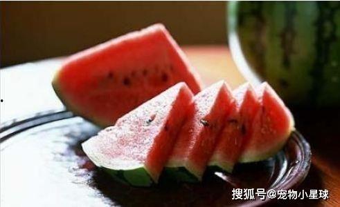躺在瓜田吃瓜,悠闲夏日时光