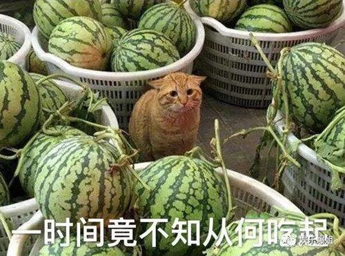 吃瓜的结果