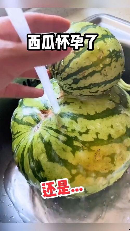 快速吃瓜的搞笑视频,快速吃瓜视频，笑到肚子疼！